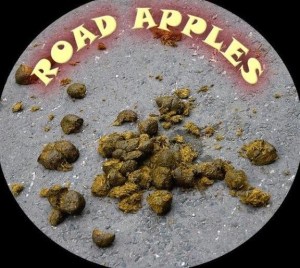 Road apples aka horse poop